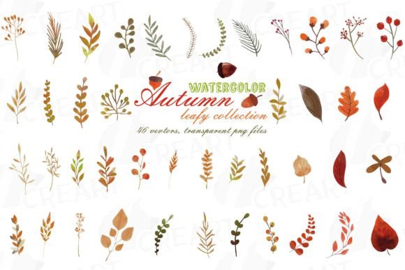 Watercolor Autumn Leaves and Branches Graphics